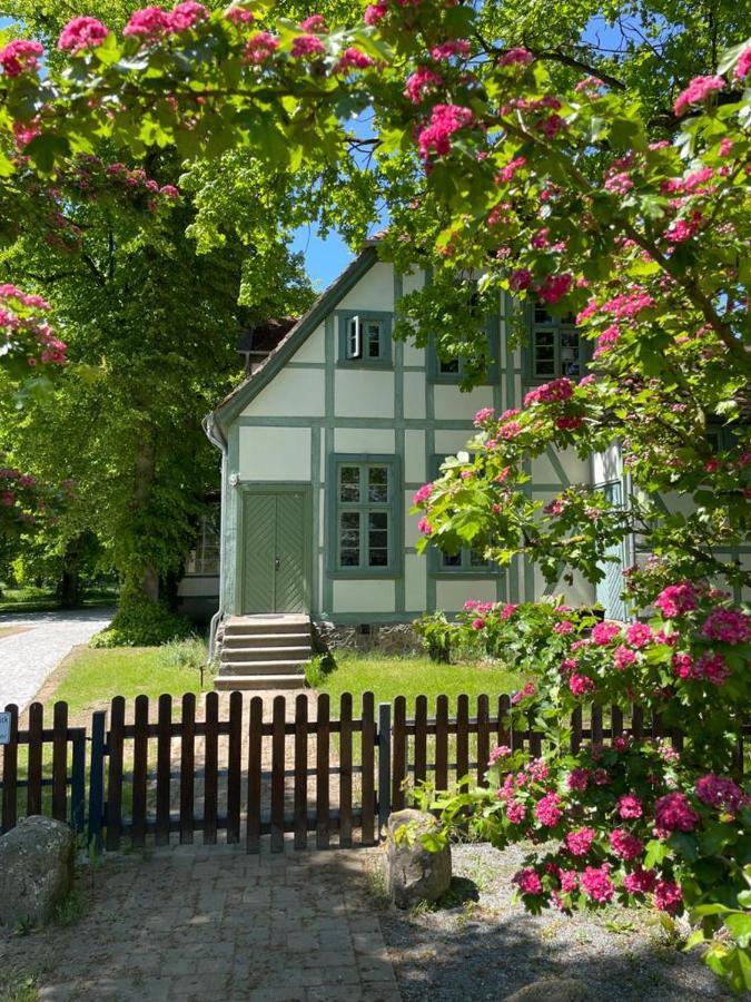 Jagdschloss Friedrichsmoor Neustadt-Glewe Extérieur photo